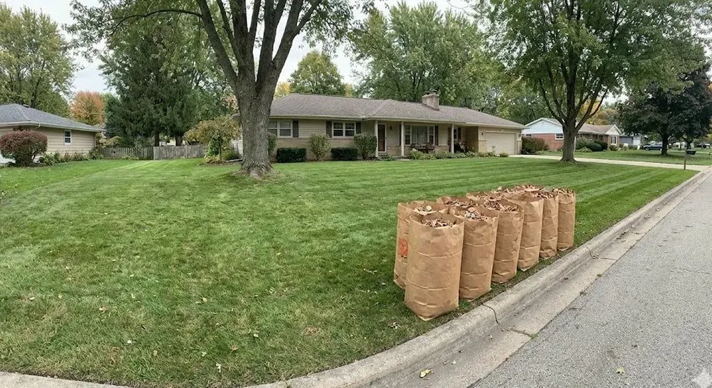 Fall leaf cleanup and bagging