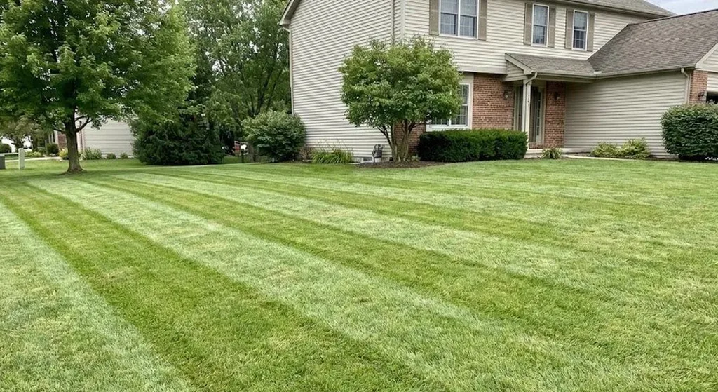 Lawn care example
