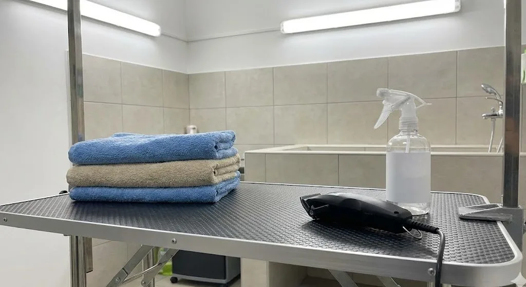 Professional grooming table and station